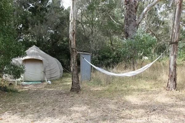 The Farm for Wellbeing setting
