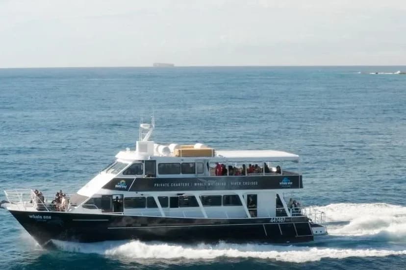 Sunshine Coast Whale Watching Cruise setting