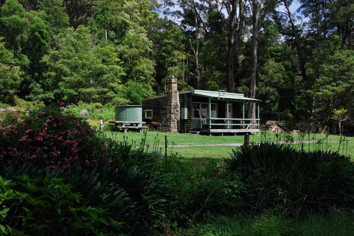 Ben Ricketts Environmental Preserve setting