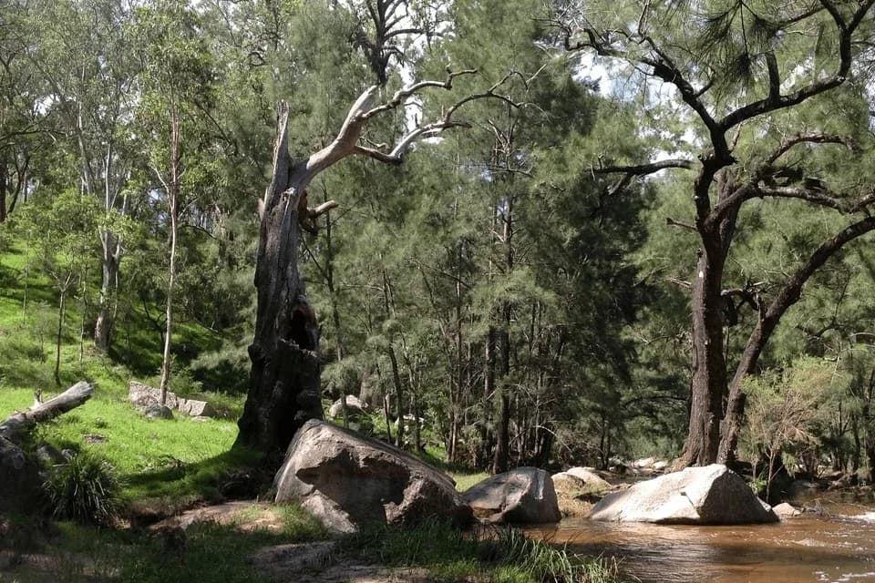 Six Foot Track Eco Lodge setting