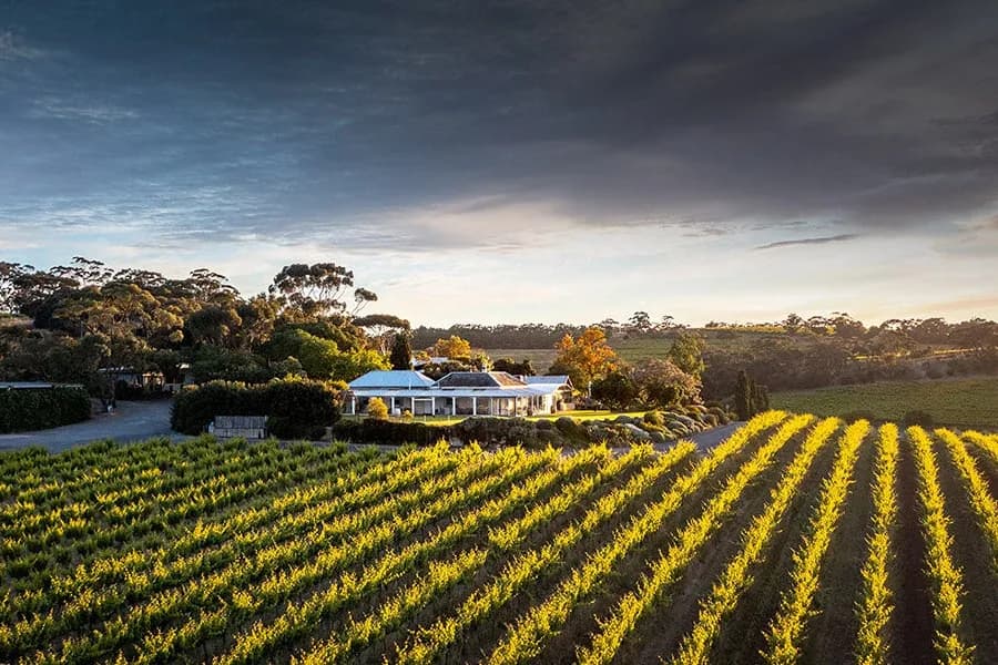 Coriole Vineyards Restaurant setting