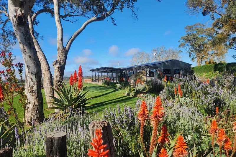 Simon Tolley Wines Cellar Door setting
