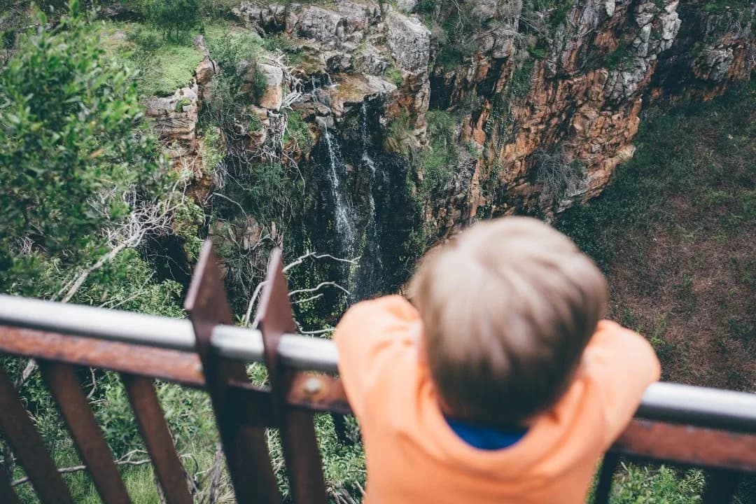 Waterfall Hike, Belair National Park setting