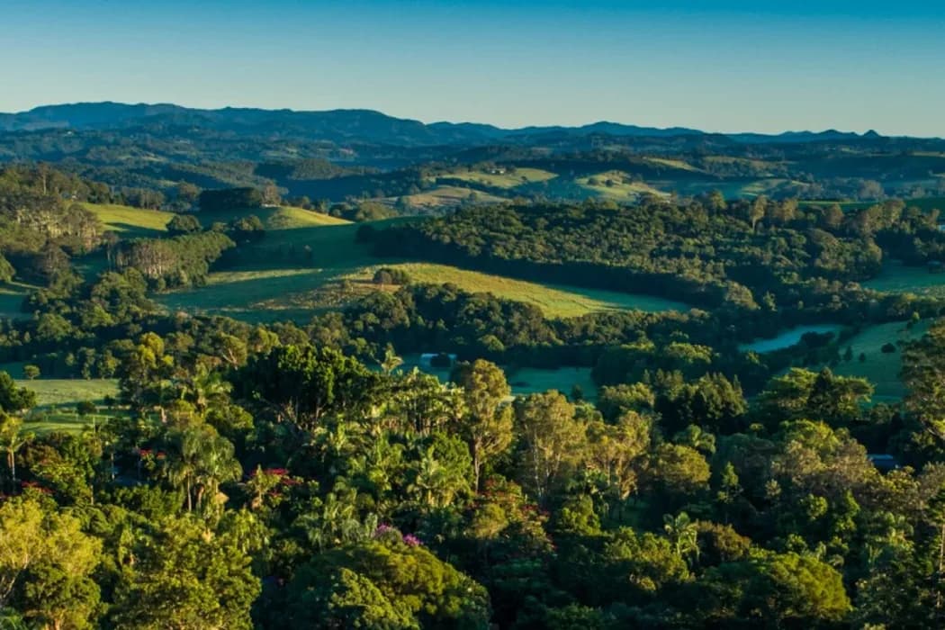 Gaia Retreat & Spa setting