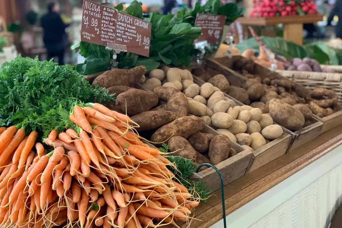 Ethical Food Store setting