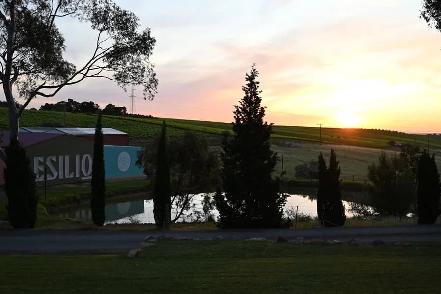 Esilio Wines Restaurant setting