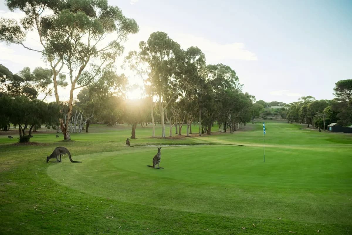 Victor Harbor Golf Club setting