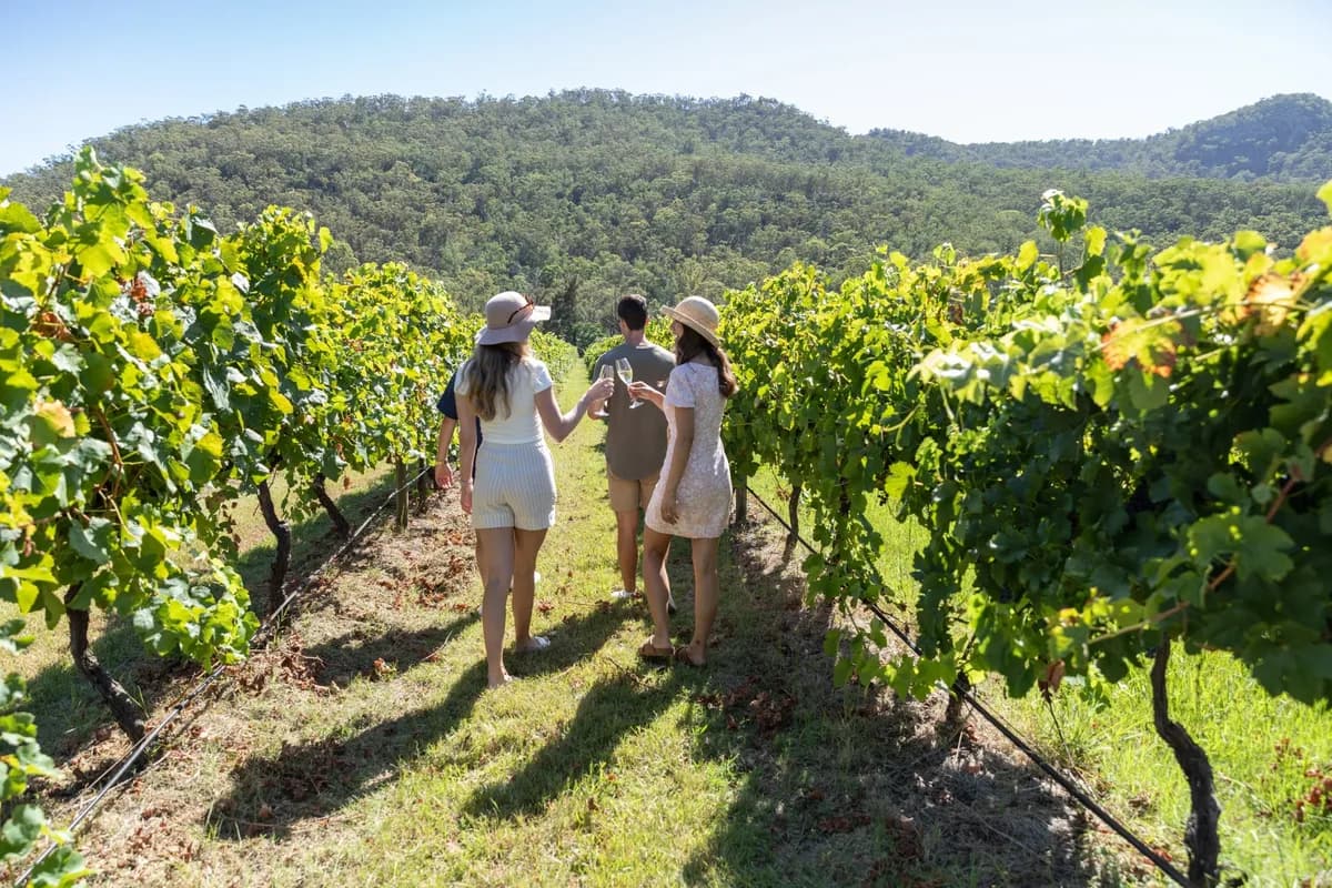 Greenway Wines setting
