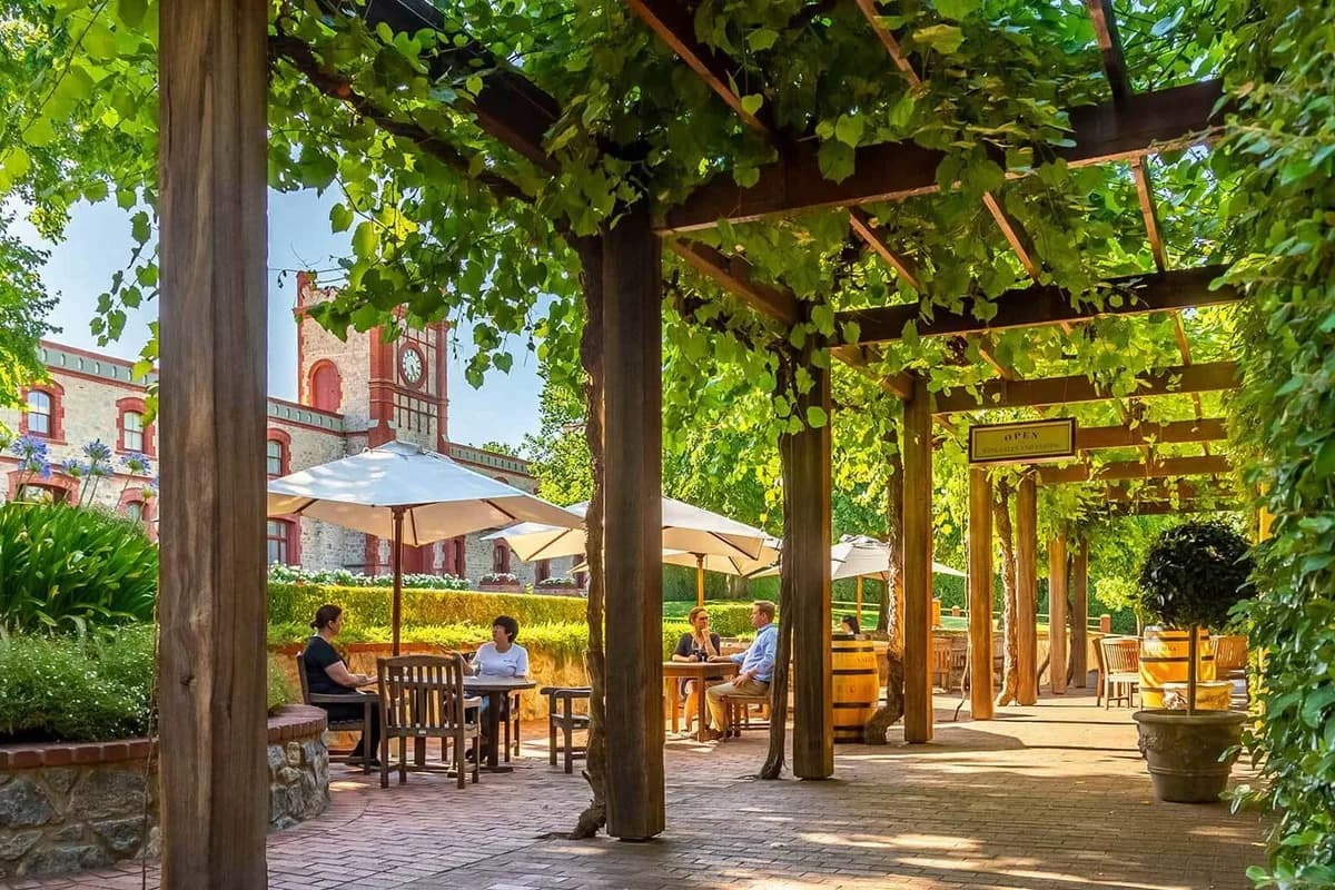 Yalumba Family Winemakers setting