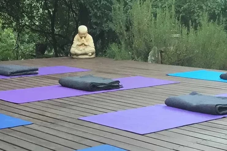 Claire’s Yoga Cabin setting