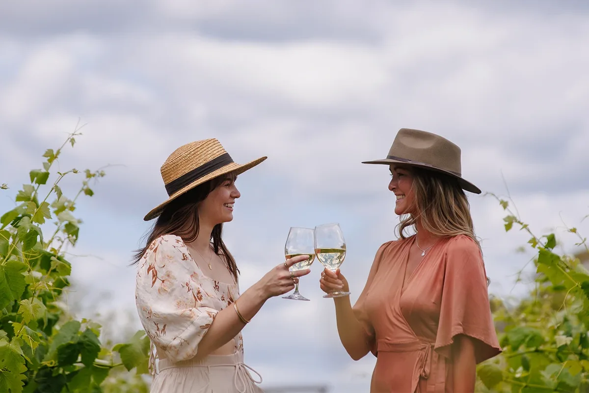 Emma’s Cottage Vineyard setting
