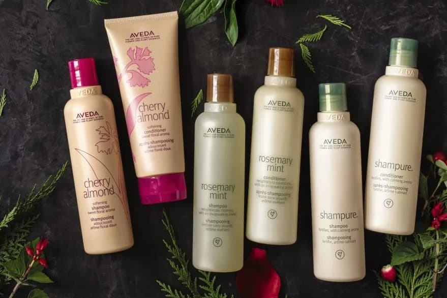 Pure - The Essence of Nature setting