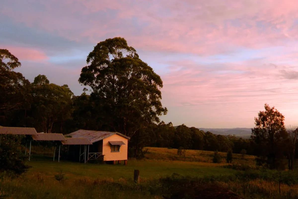 Callicoma Hill Eco-cabin, Bunkhouse & Camping setting
