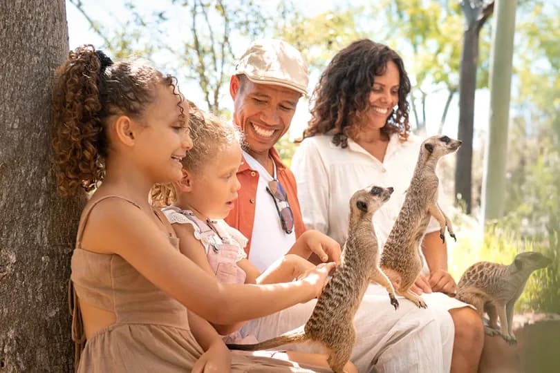 Australia Zoo wildlife encounters and conservation experience setting