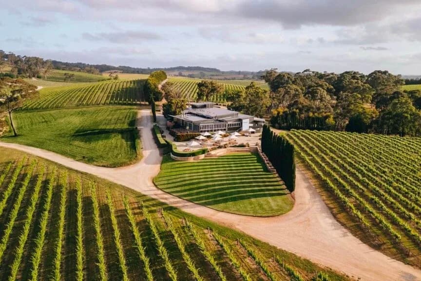 The Lane Vineyard setting