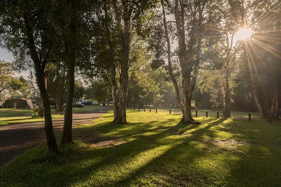 Myall River Camp setting