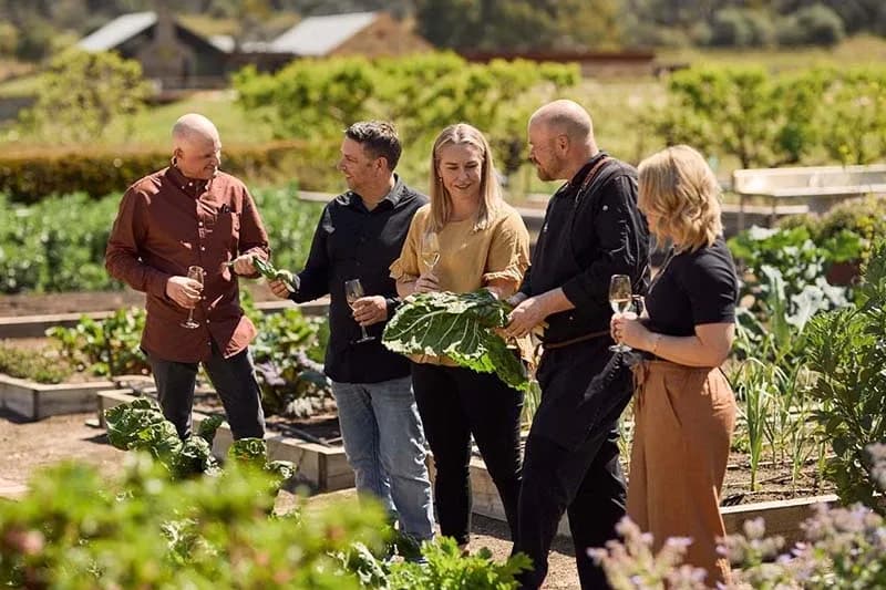 Appellation at The Louise setting
