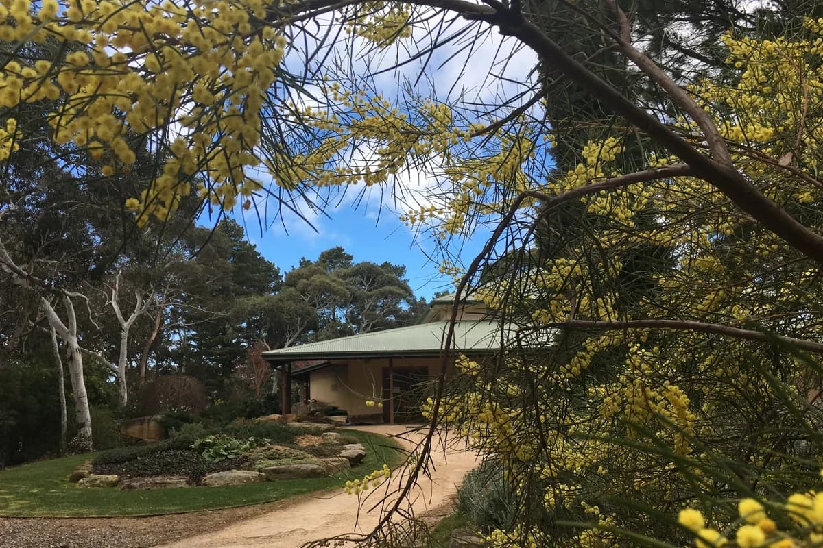 Vipassana Meditation Centre, Dhamma Bhūmi setting