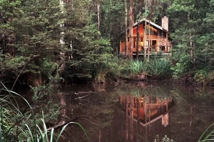 Woodlands Rainforest Retreat setting