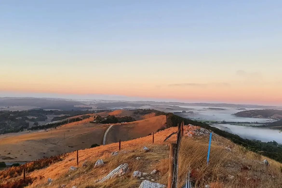 The Little Fleurieu Farm — The Gum setting