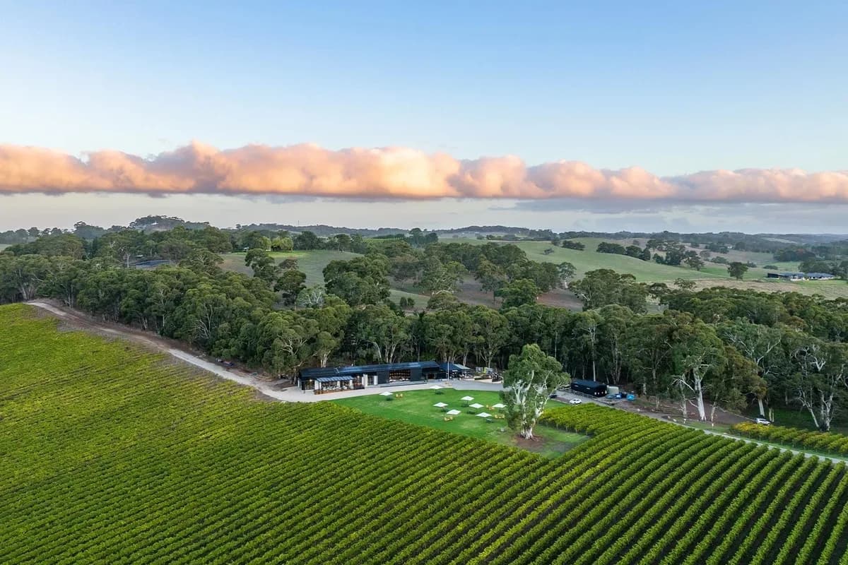Nepenthe Wines Cellar Door setting